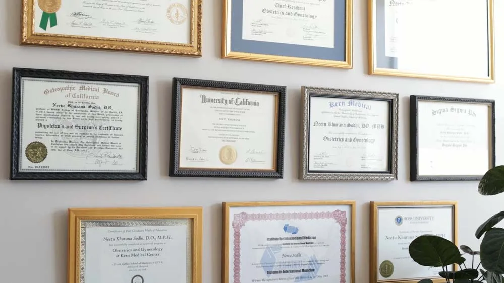 Medical credentials and board certifications held by Dr. Neetu Sodhi